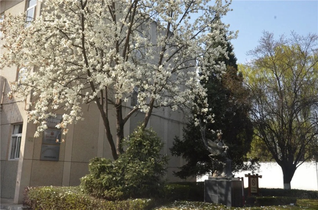 必一运动bsport体育