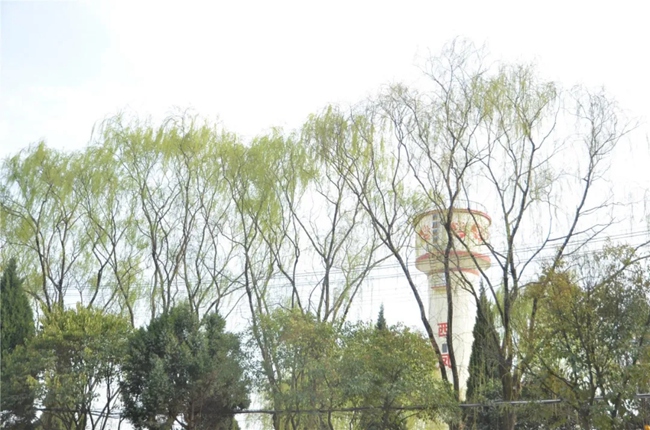 必一运动bsport体育