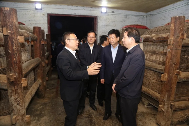 必一运动bsport体育