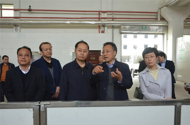 必一运动bsport体育