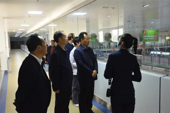 必一运动bsport体育