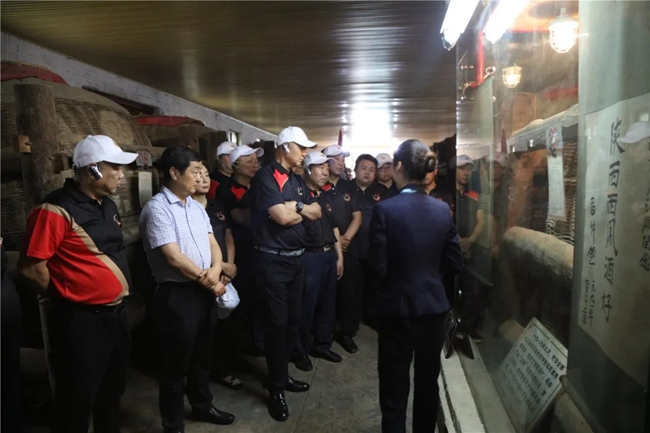 必一运动bsport体育