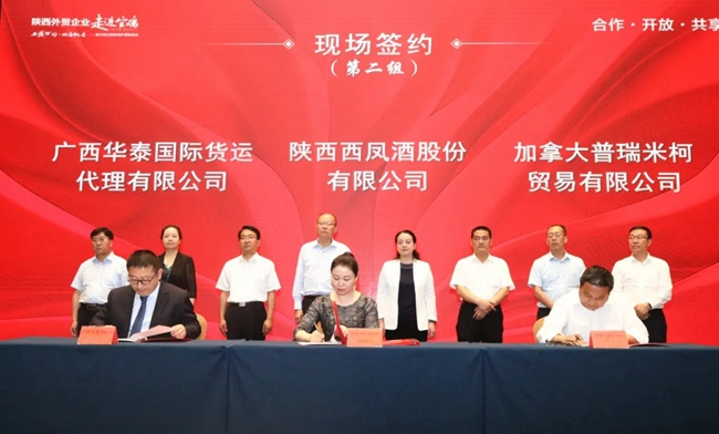 必一运动bsport体育