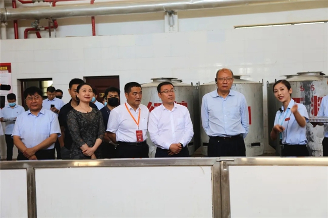 必一运动bsport体育