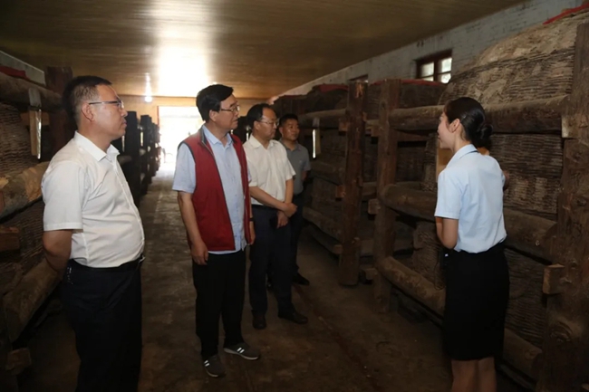 必一运动bsport体育