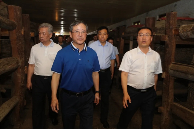 必一运动bsport体育