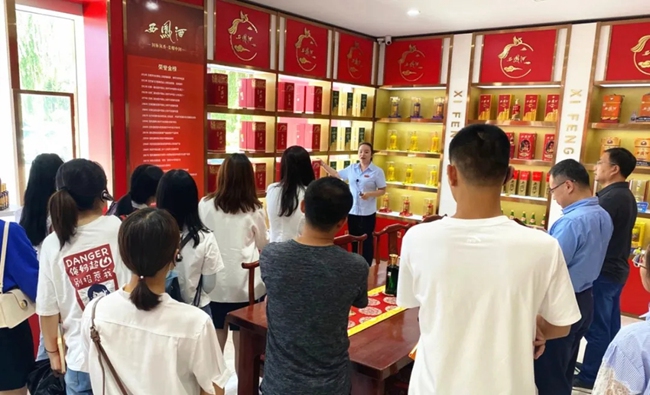 必一运动bsport体育