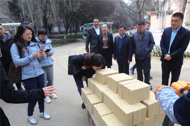 必一运动bsport体育