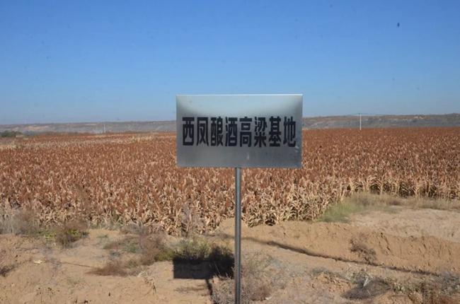 必一运动bsport体育