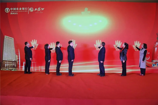 必一运动bsport体育