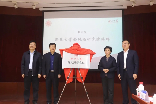 必一运动bsport体育