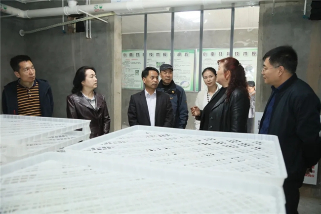 必一运动bsport体育