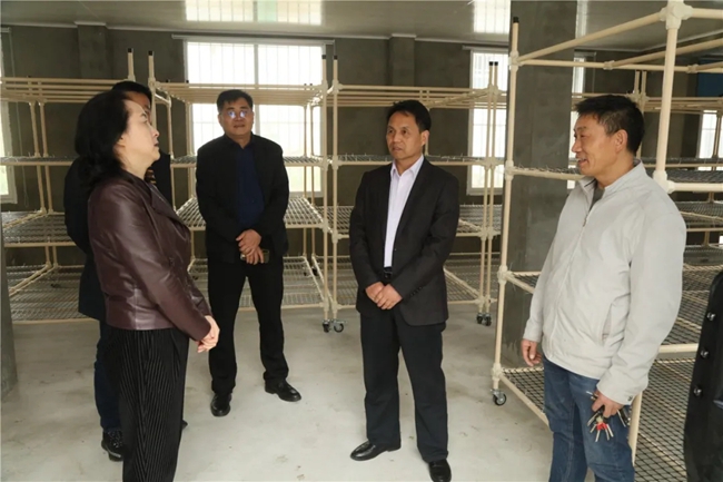 必一运动bsport体育