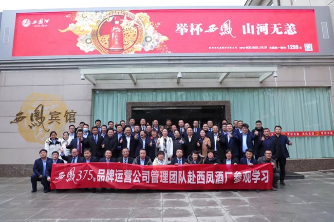 必一运动bsport体育