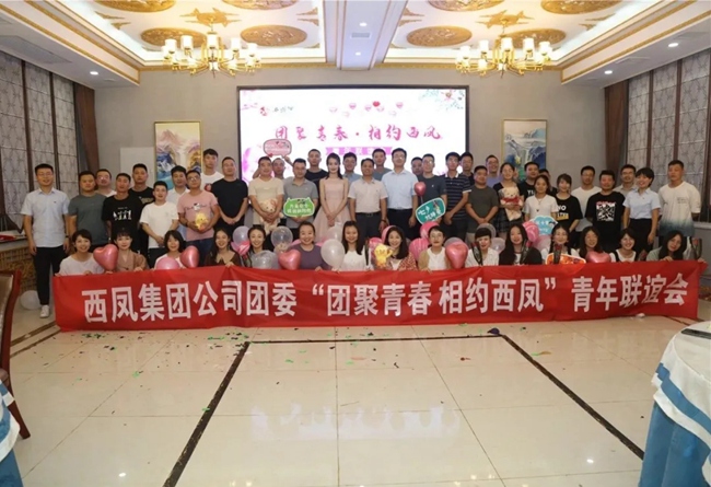 必一运动bsport体育