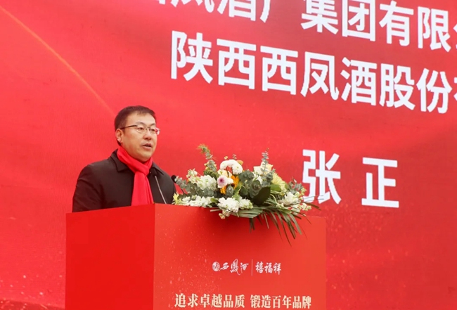 必一运动bsport体育