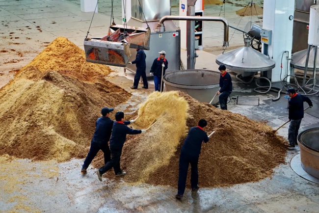 必一运动bsport体育