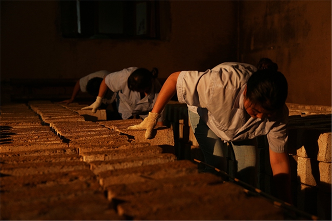 必一运动bsport体育