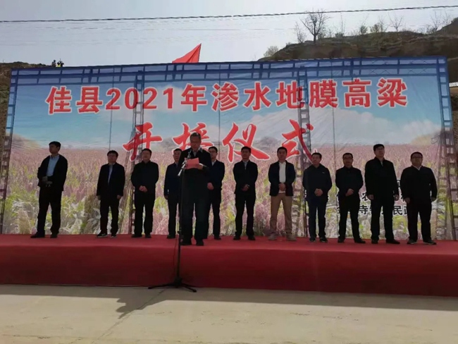 必一运动bsport体育