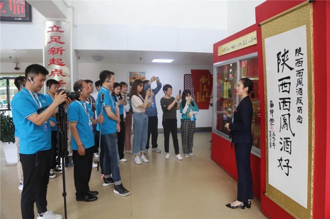 必一运动bsport体育