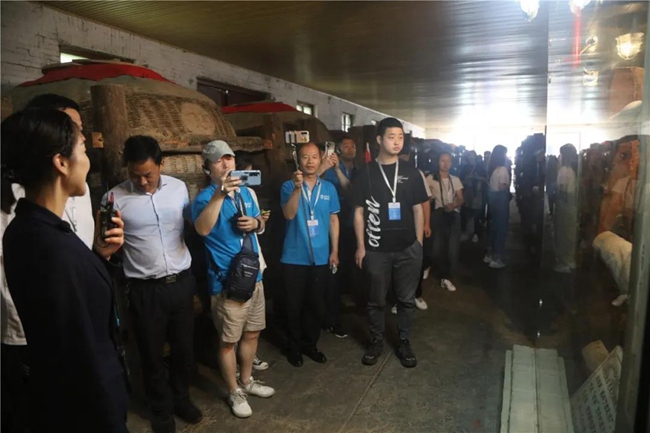 必一运动bsport体育