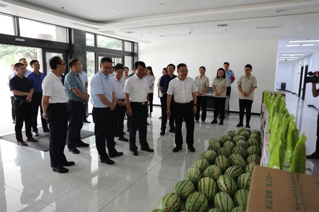 必一运动bsport体育