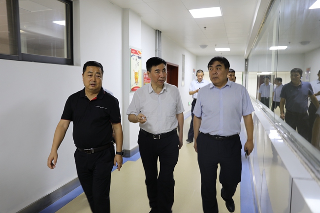 必一运动bsport体育